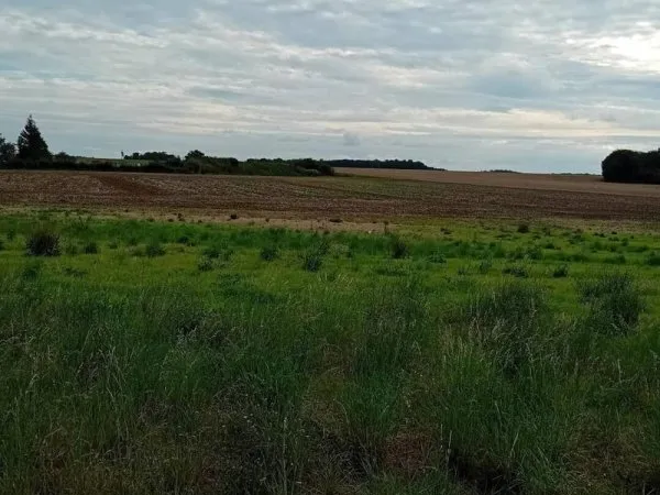 Terrain constructible 857 m²