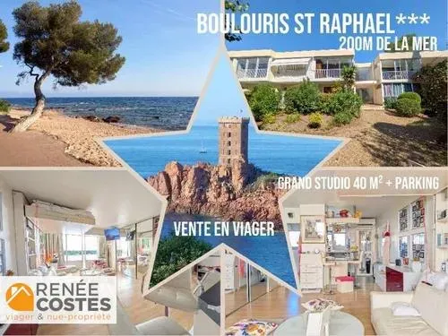 Viager 1 pièce 40 m²