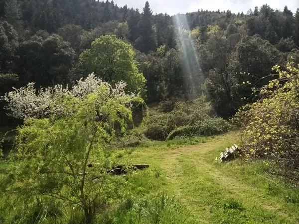 Propriété agricole & d'agrément 2,05 ha - Forage, Serre, Droit à bâtir - Roquedur / Ganges