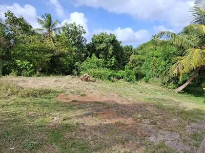 LAMENTIN BEAU TERRAIN EN LEGERE DECLIVITE CADRE RESIDENTIEL