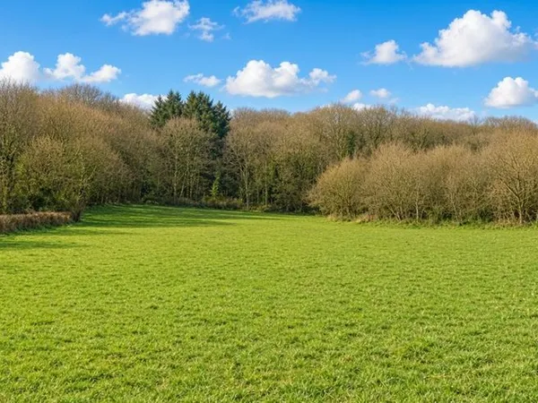 Terrain à bâtir de 9344 m² à LUGNY (71)