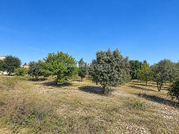 Terrain Bouchet 700m2
