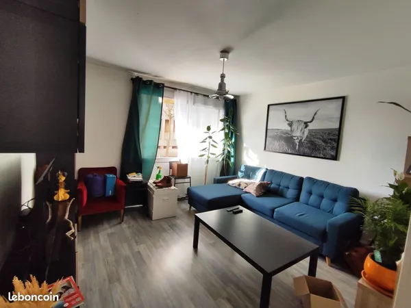 Appartement F2 43 m²