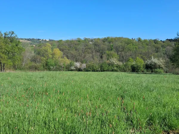 Très beau terrain à construire