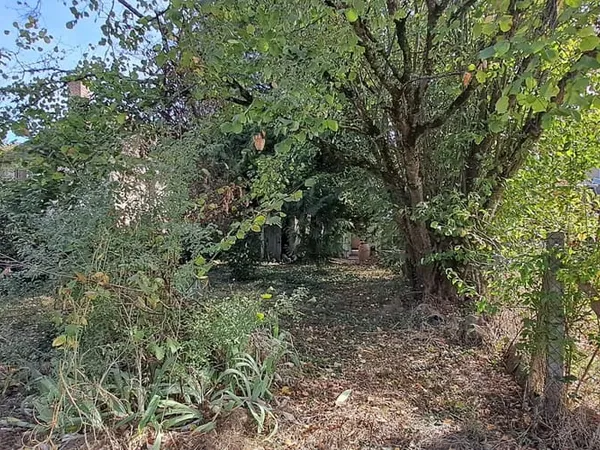 Maison 3 pièces 132 m²