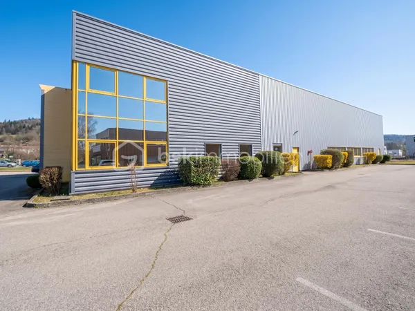 Local 4 pièces 1146 m²
