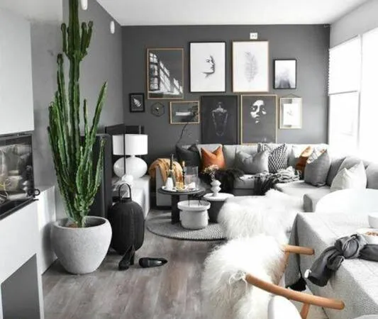 Appartement 1 pièce 42 m²