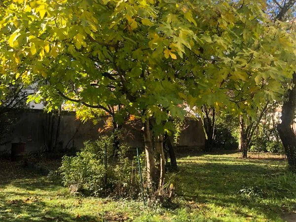 F3 60m2 PARFAIT ETAT AVEC TERRAIN ET TERRASSE LUMINEUX