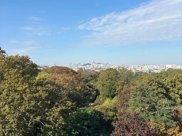 Appartement 3 pièces 85 m²