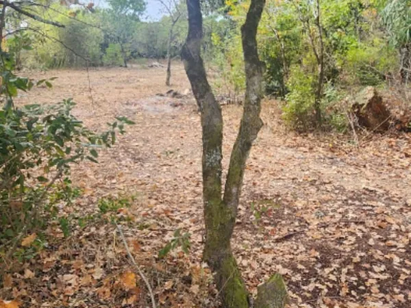 Terrain 1000 m²