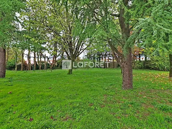 Terrain 562 m²