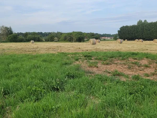 Germigny-des-Prés : un terrain rare à découvrir