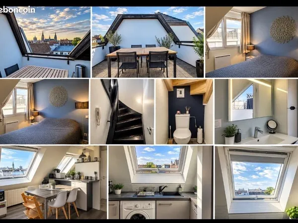 Strasbourg - Duplex 3 pièces meublé avec 2 terrasses et vue Cathédrale