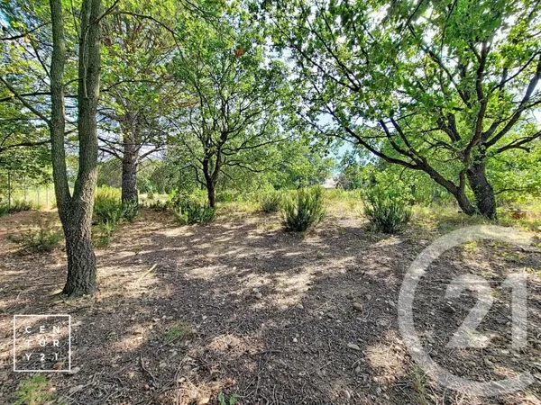 Terrain 5055 m²
