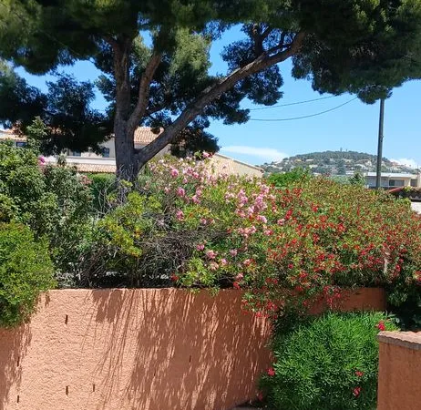 STUDIO BANDOL 24 M2