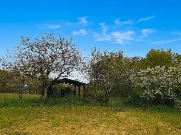 Terrain 3000 m²