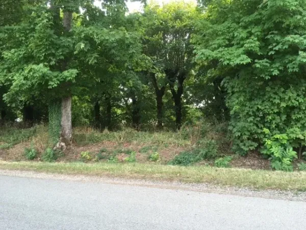Terrain 1200 m²