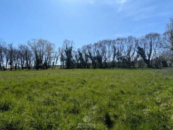 Terrain 3717 m²