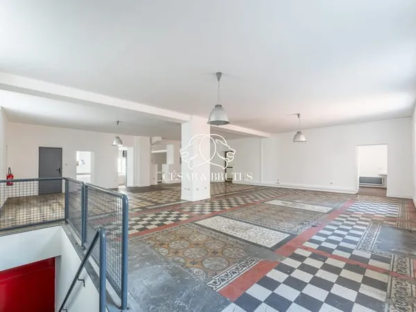 Lyon 7(La Madeleine) : Loft atypique de 244 m²