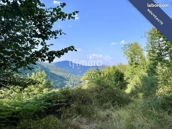 Terrain 10620 m² Thèbe