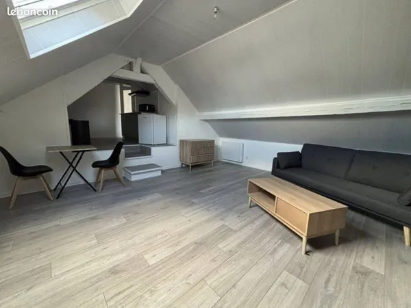 Appartement 1 pièce 24 m²
