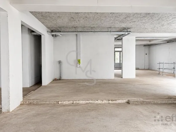 Local commercial 2 pièces 237 m²