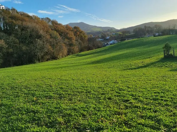 A vendre terrain constructible Souraide 260000