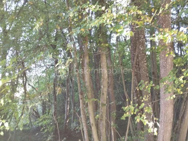 Terrain 3614 m²