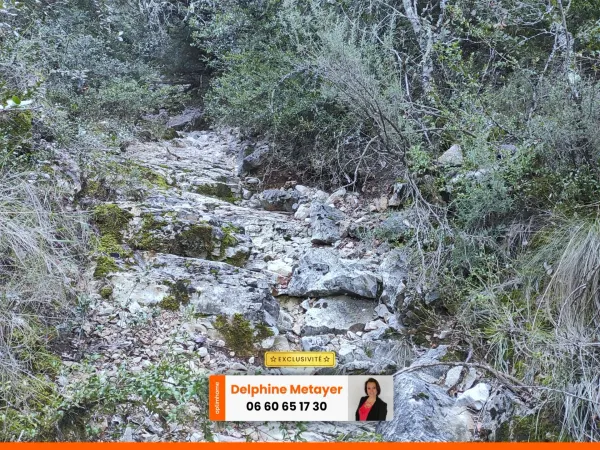 Terrain 19030 m²