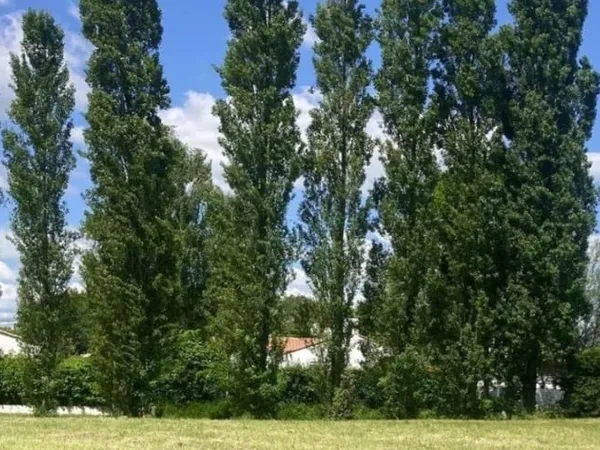 Terrain 411 m²
