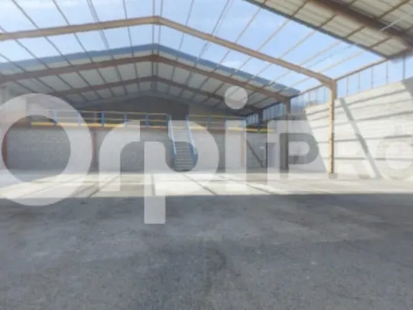 Local d'activité 1045 m²