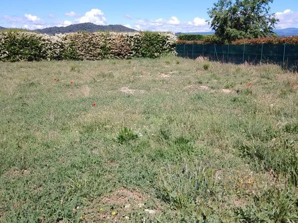 Terrain constructible