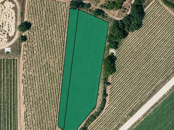 Parcelle agricole
