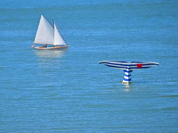 143 m² Plage tout droit !