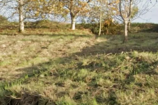 Terrain 13000 m²