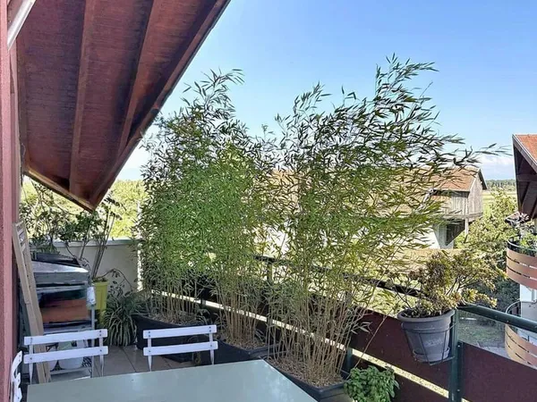 Appartement 4 pièces 97 m²