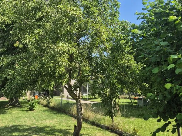 Maison 3 pièces 80 m²
