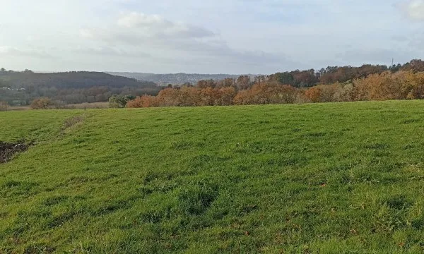 Terrain en individuel 1770 m²