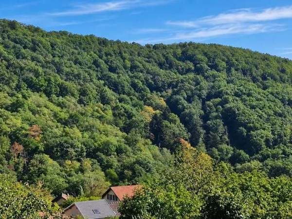 Maison 5 pièces 99 m²