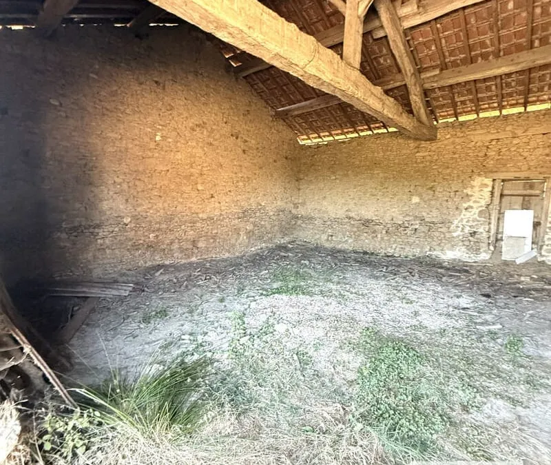 Photo 4
