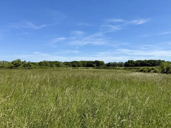 Terrain 1560 m²