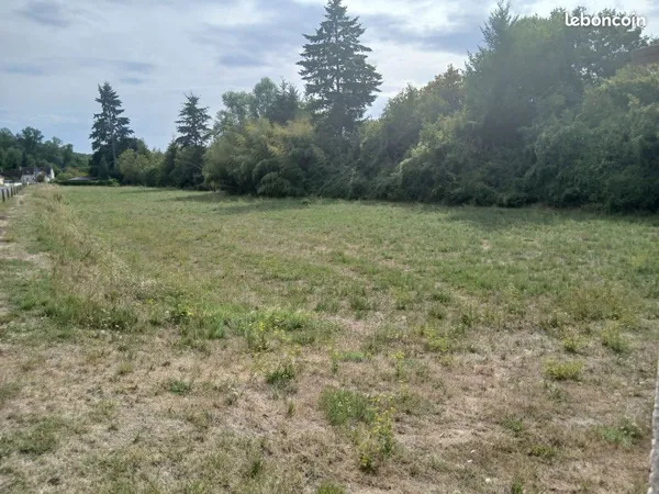 Terrain seigy