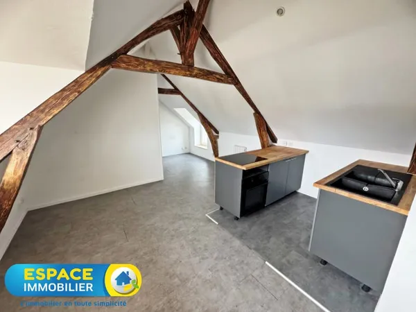 EXCLUSIVITE ! Hyper centre de Châteauneuf-sur-Loire - Appart