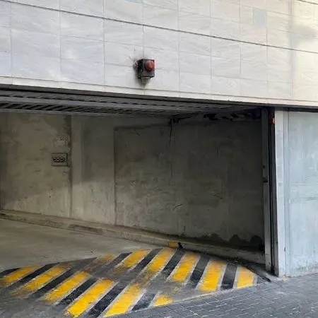 Location place parking Lille Braderie