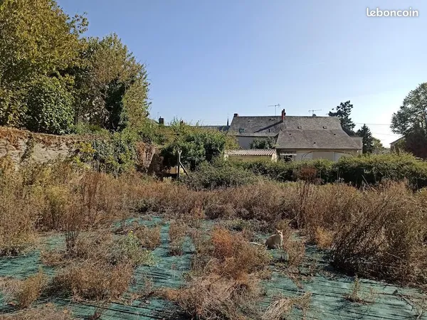 Maison à rénover avec un grand terrain