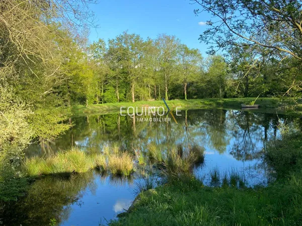 Terrain de Loisirs