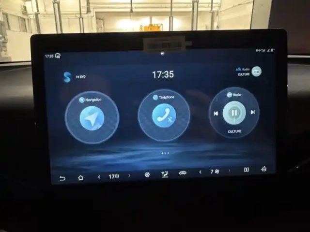 Byd Dolphin surf comfort 115 kw — photo 20