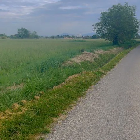 Terrain agricole