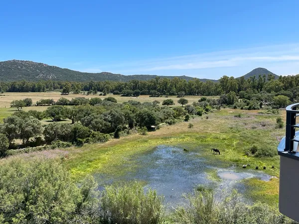 Vends appartement 52m² Porto-Vecchio