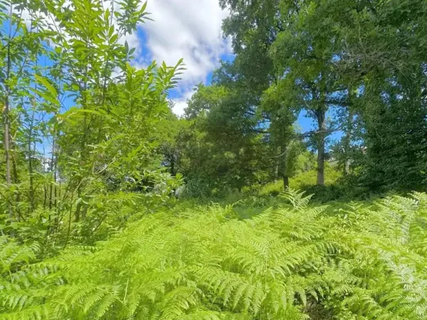 Terrain à bâtir 2400 m²